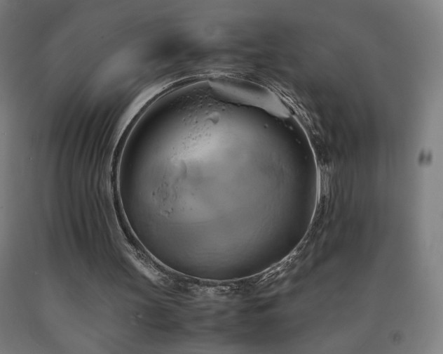 X0000093240147200709261716