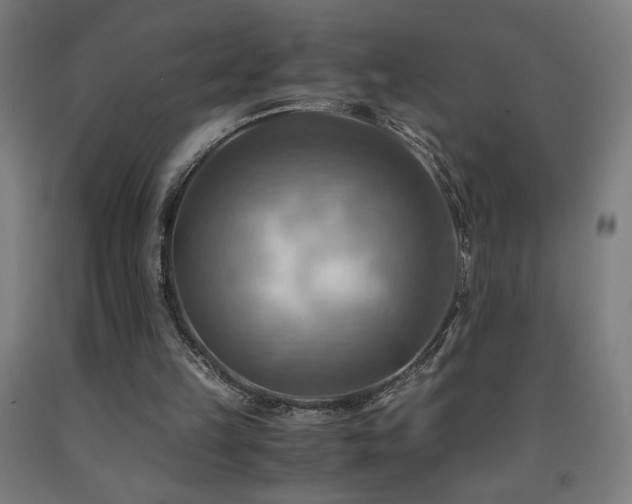 X0000093240149200709261716