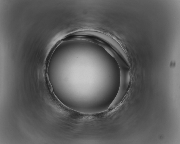 X0000093240152200709261716