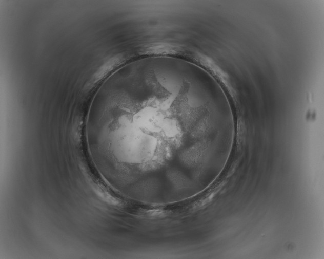 X0000093240153200709261716