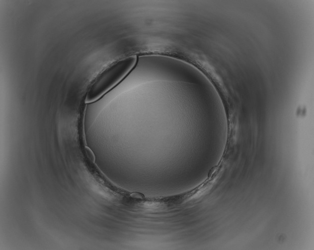 X0000093240154200709261716