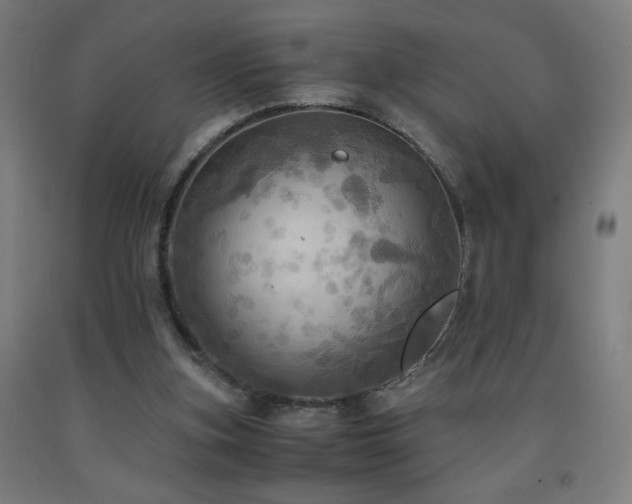 X0000093240155200709261716