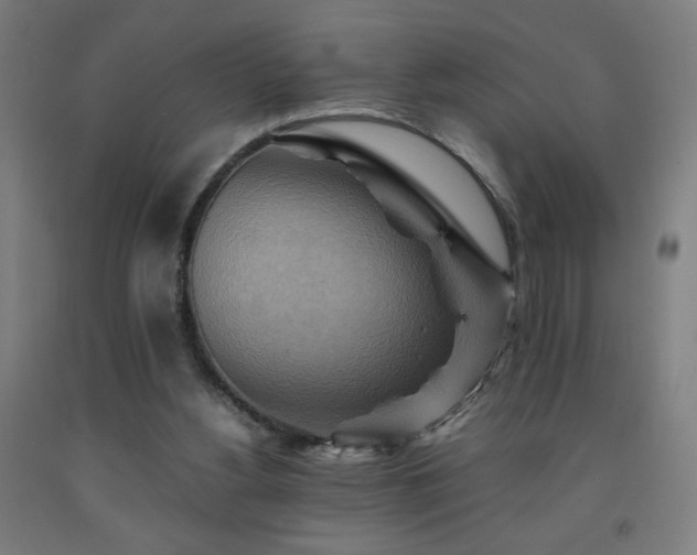 X0000093240156200709261716