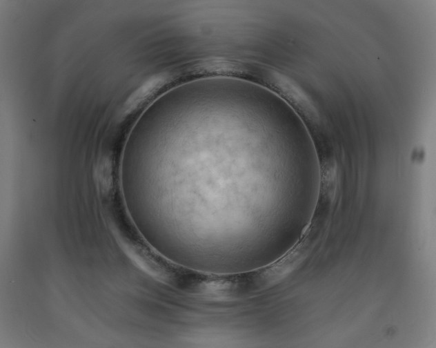 X0000093240158200709261716