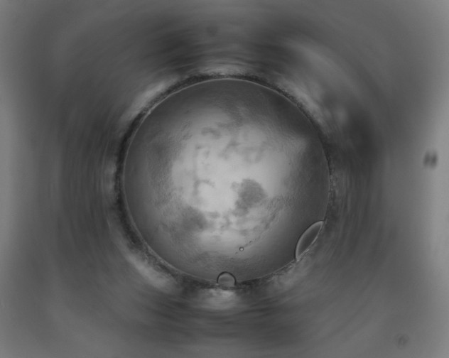 X0000093240159200709261716