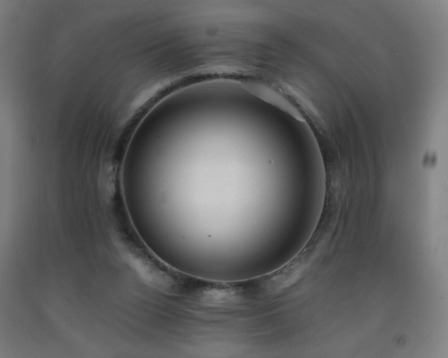 X0000093240160200709261716