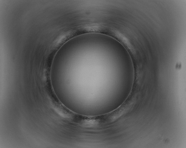 X0000093240161200709261716