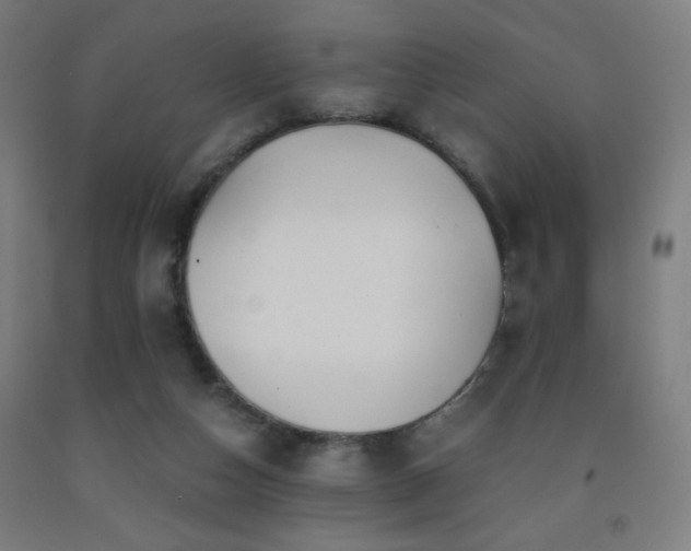 X0000093240162200709261716