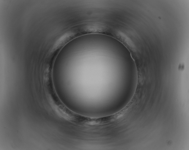 X0000093240163200709261716