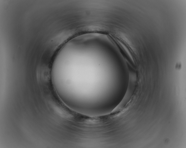 X0000093240164200709261716
