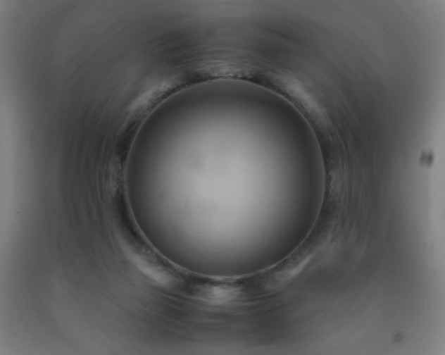 X0000093240165200709261716