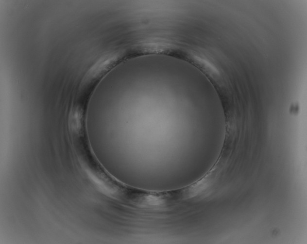 X0000093240166200709261716