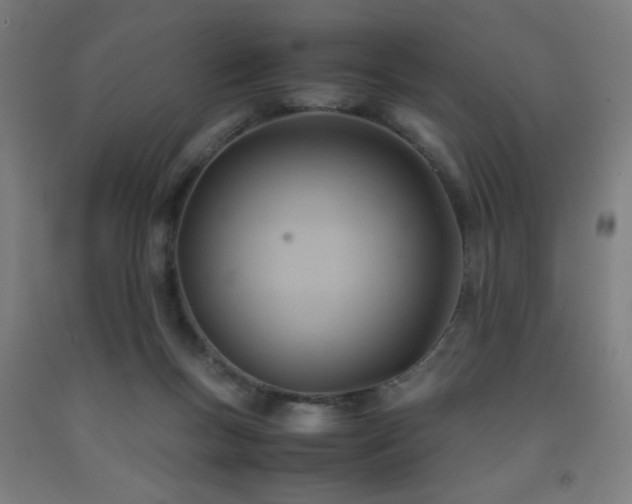 X0000093240167200709261716