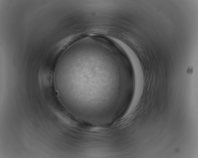 X0000093240168200709261716