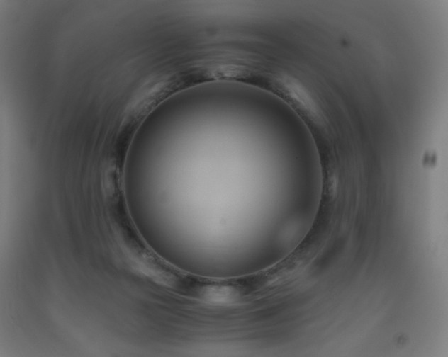 X0000093240169200709261716
