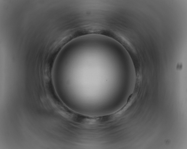 X0000093240170200709261716