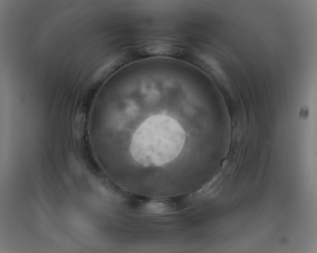 X0000093240171200709261716