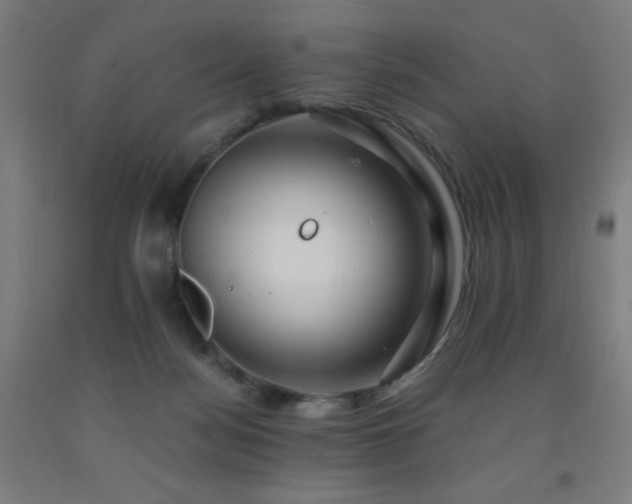 X0000093240172200709261716