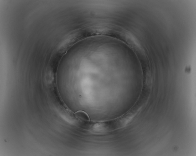 X0000093240173200709261716
