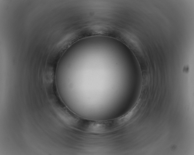 X0000093240174200709261716