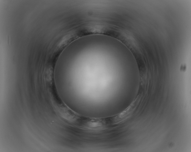 X0000093240175200709261716