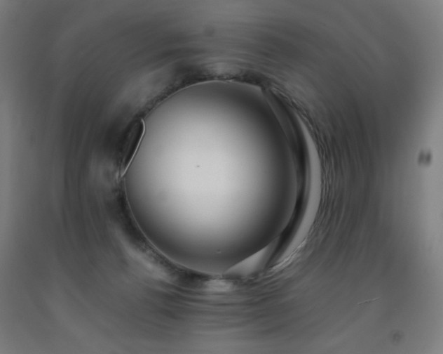 X0000093240176200709261716