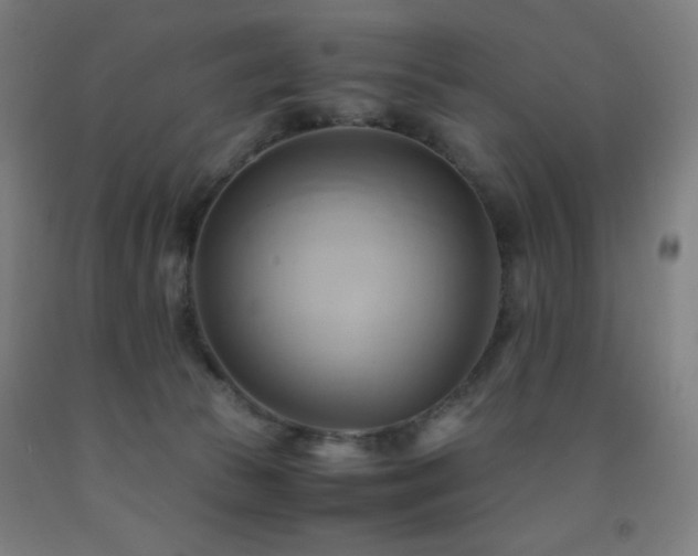 X0000093240177200709261716