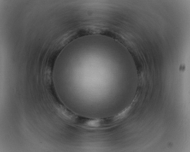 X0000093240178200709261716