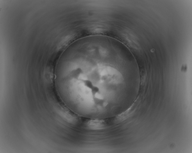 X0000093240179200709261716