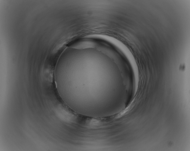 X0000093240180200709261716