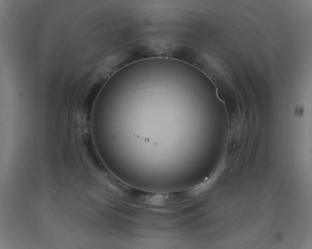 X0000093240182200709261716