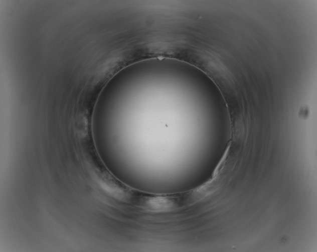 X0000093240183200709261716