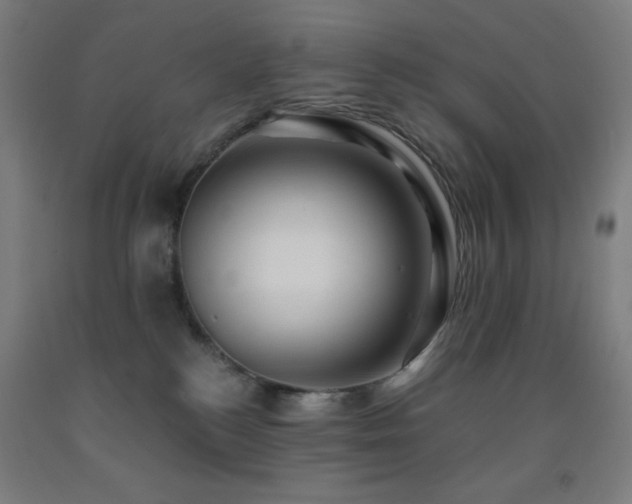 X0000093240184200709261716