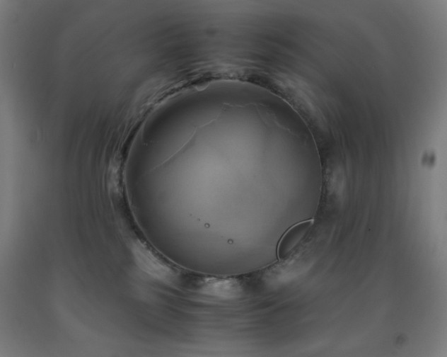 X0000093240185200709261716