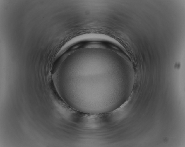 X0000093240186200709261716