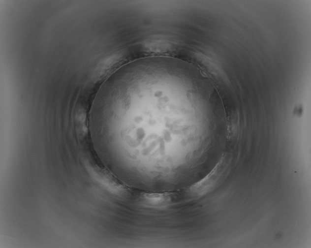 X0000093240187200709261716