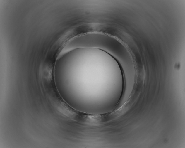 X0000093240188200709261716