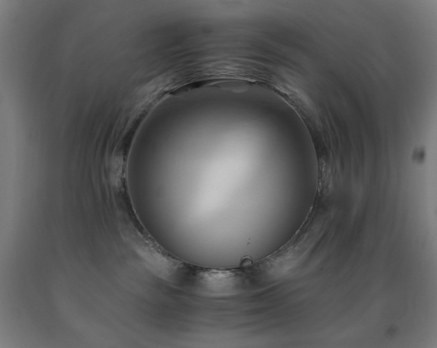 X0000093240189200709261716
