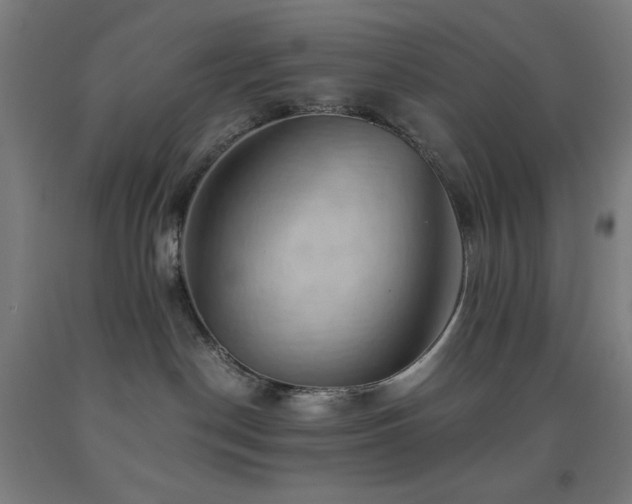 X0000093240190200709261716