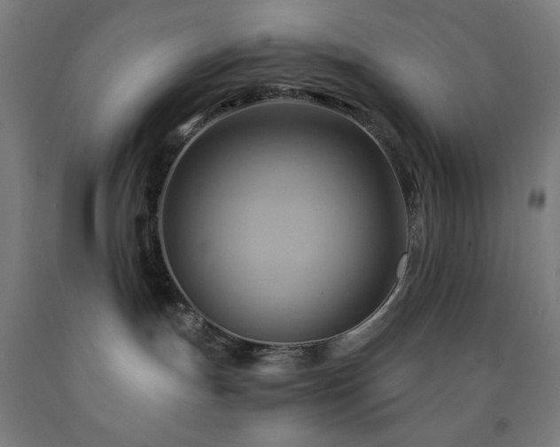 X0000093240191200709261716