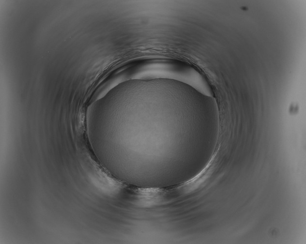 X0000093240192200709261716
