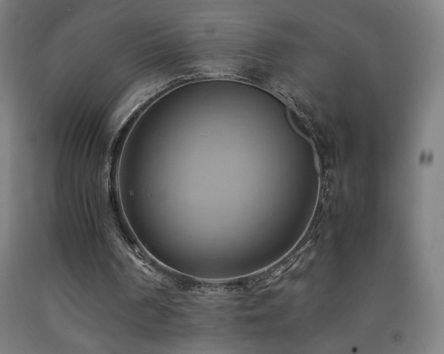 X0000093240194200709261715