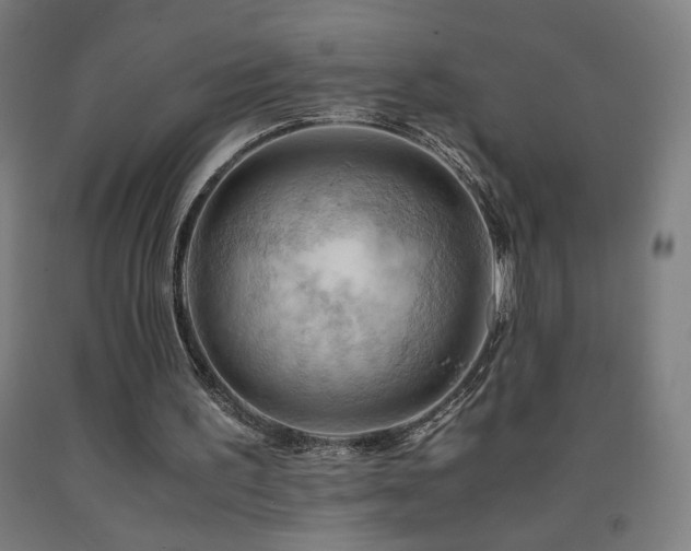 X0000093240195200709261715