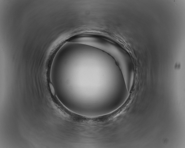 X0000093240197200709261715
