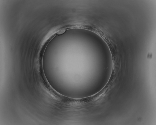 X0000093240198200709261715