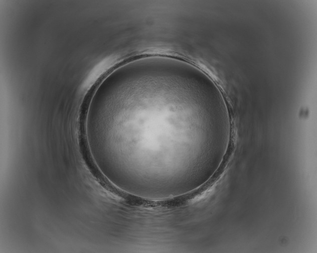 X0000093240199200709261715