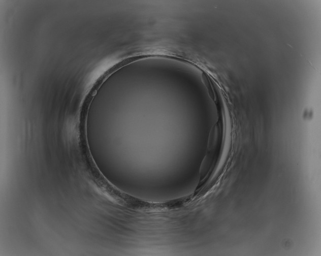 X0000093240200200709261715