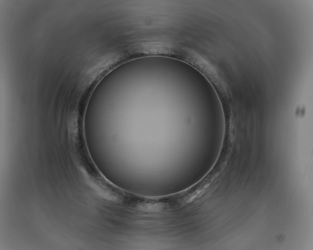 X0000093240202200709261715