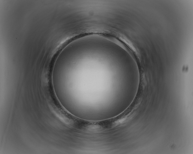 X0000093240203200709261715