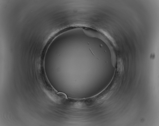 X0000093240204200709261715